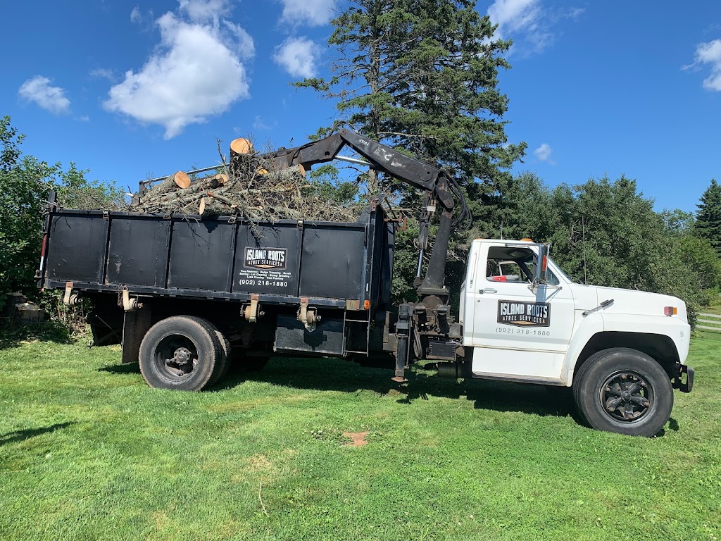 Island Roots Tree Services | 63 Ferry Rd, Cornwall, PE C0A 1H4, Canada | Phone: (902) 218-1880
