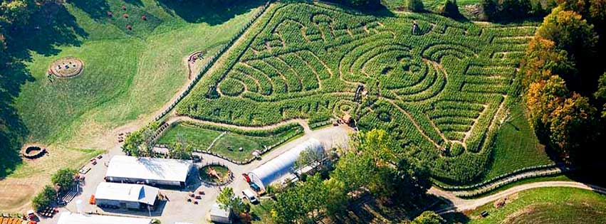 Howell Family Pumpkin Farm | 2878 Holland Rd, Fonthill, ON L0S 1E6, Canada | Phone: (905) 892-3918