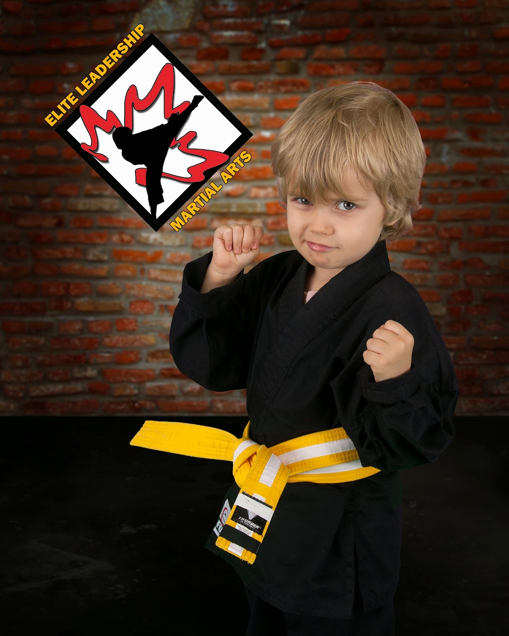 Elite Leadership Martial Arts | 120 San Antonio Dr Unit #7, Hamilton, ON L9C 5N2, Canada | Phone: (905) 218-6958