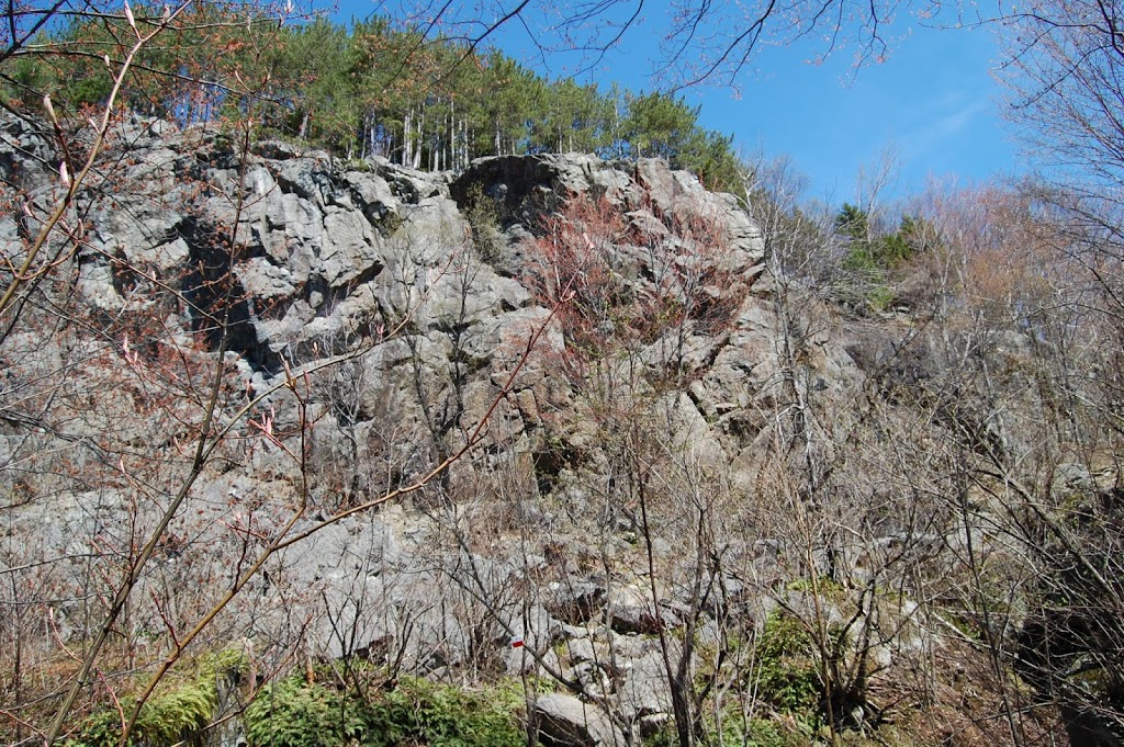 Larouche Chamox Escalade | 222 Chemin Racine, Racine, QC J0E 1Y0, Canada | Phone: (819) 347-7919