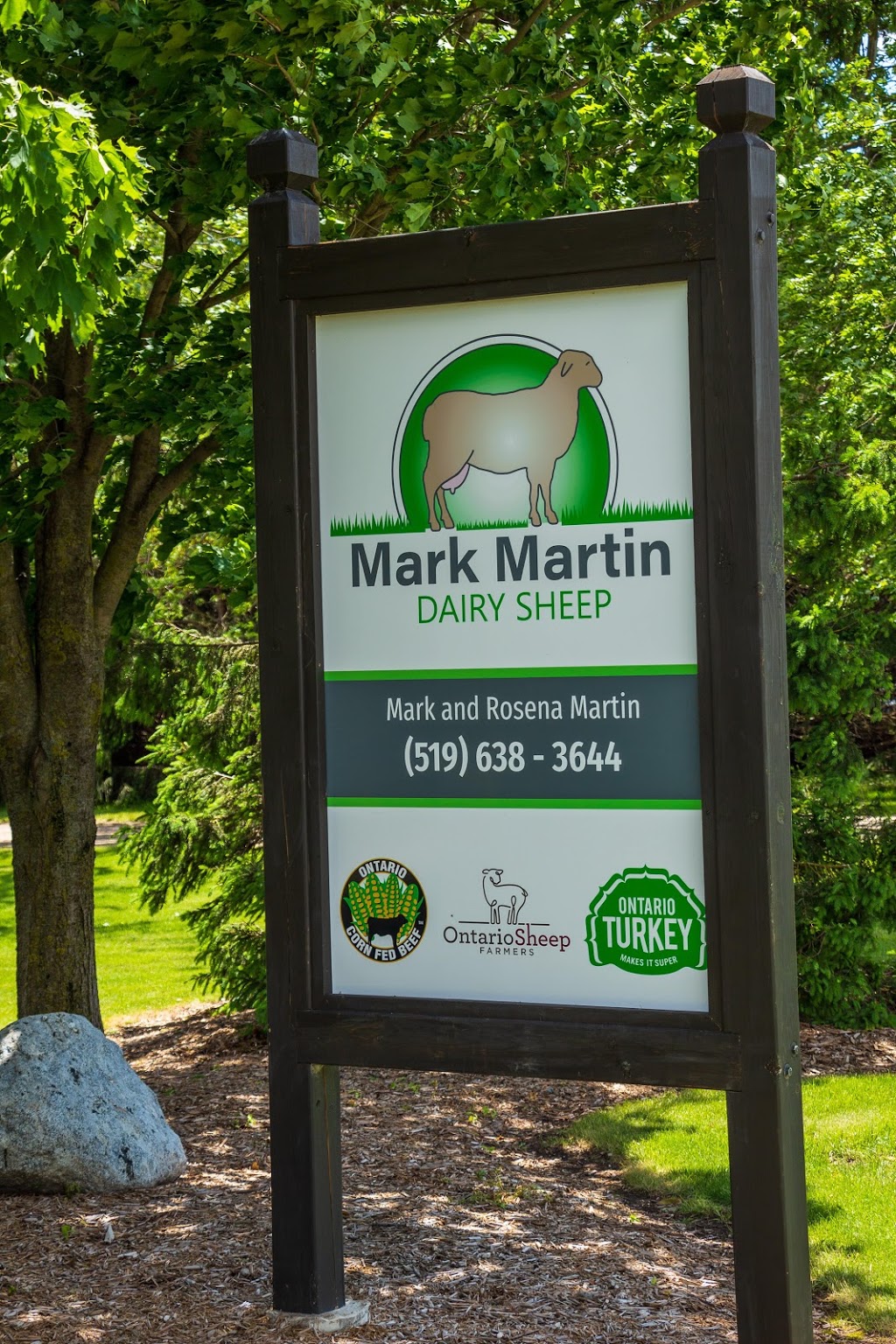Mark Martin Dairy Sheep Farm | 7015 Side Rd 18, Drayton, ON N0G 1P0, Canada | Phone: (519) 638-3644
