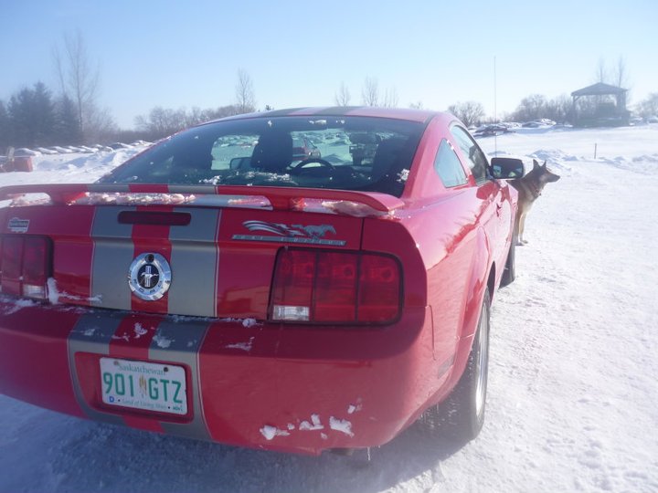 Daves Auto Wrecking & Towing | 3023 21 W #2, Bulyea, SK S0G 0L0, Canada | Phone: (306) 725-3450