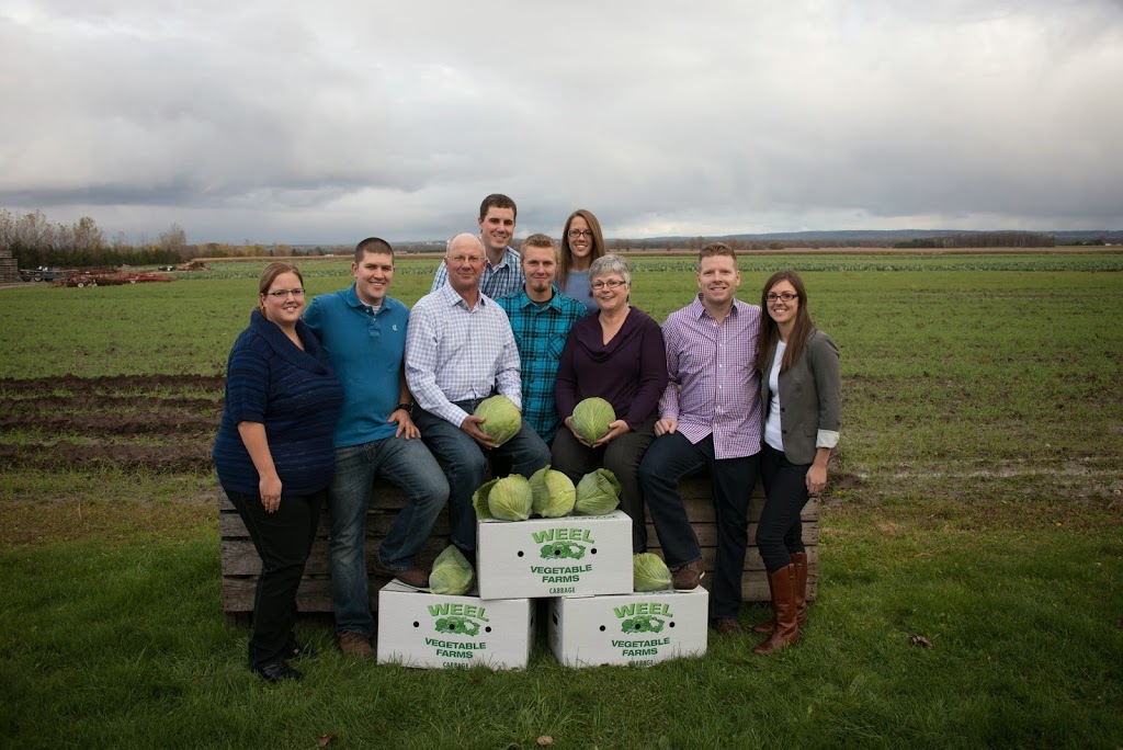 BMW Farms - Weel Vegetable Farms | Stayner, ON L0M 1N0, Canada | Phone: (705) 428-2026