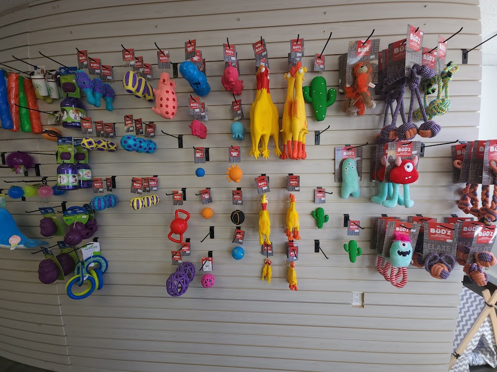 Four Paws Pet Supply | 5379 Old Highway 2, Shannonville, ON K0K 3A0, Canada | Phone: (613) 970-9032