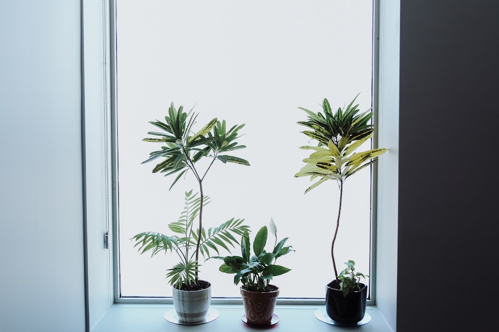 Deep Rooted Massage - Kingston West | 510 Canatara Ct Unit 2, Kingston, ON K7M 0G3, Canada | Phone: (613) 766-1115