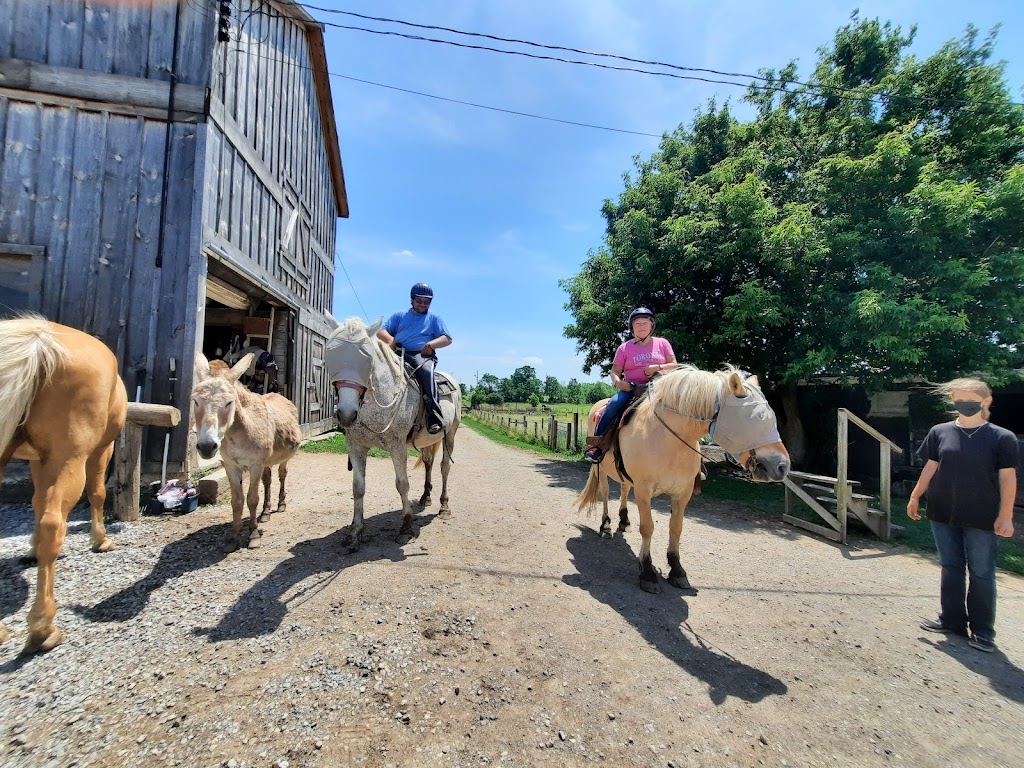 Big Creek Horse Stables - Horseback Riding | 386 Big Creek Rd, Caledonia, ON N3W 2G9, Canada | Phone: (905) 765-5476