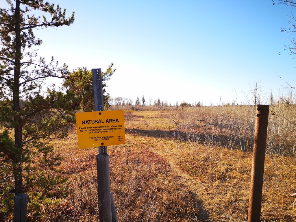Opal Natural Area | Thorhild County No. 7, AB T0A 2R0, Canada