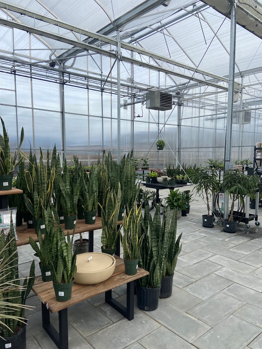 Urban Jungle | 34586 Bateman Rd, Abbotsford, BC V2S 7Y8, Canada | Phone: (604) 744-8599
