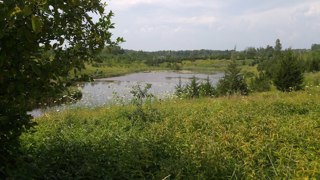 Orchard Trail | Rouge, Toronto, ON M1B 5W8, Canada