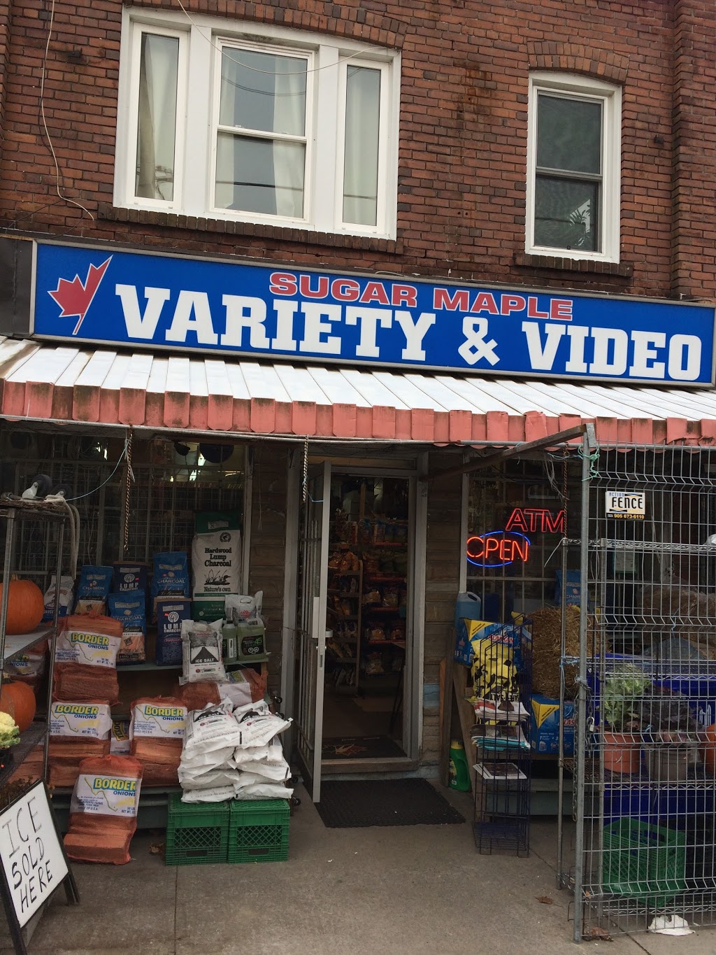 Sugar Maple Variety | 471 Sammon Ave, East York, ON M4J 4T6, Canada | Phone: (416) 466-2231