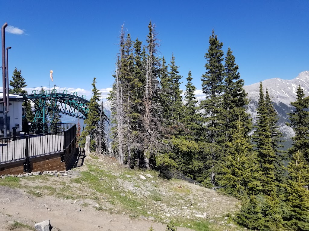 Castle Mountain Coffee | 100 Mountain Ave, Banff, AB T1L 1J3, Canada | Phone: (866) 606-6700