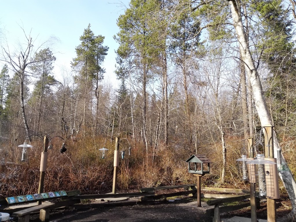 Brandrith Park | 5091 12 Ave, Delta, BC V4M 2A8, Canada | Phone: (604) 946-4141