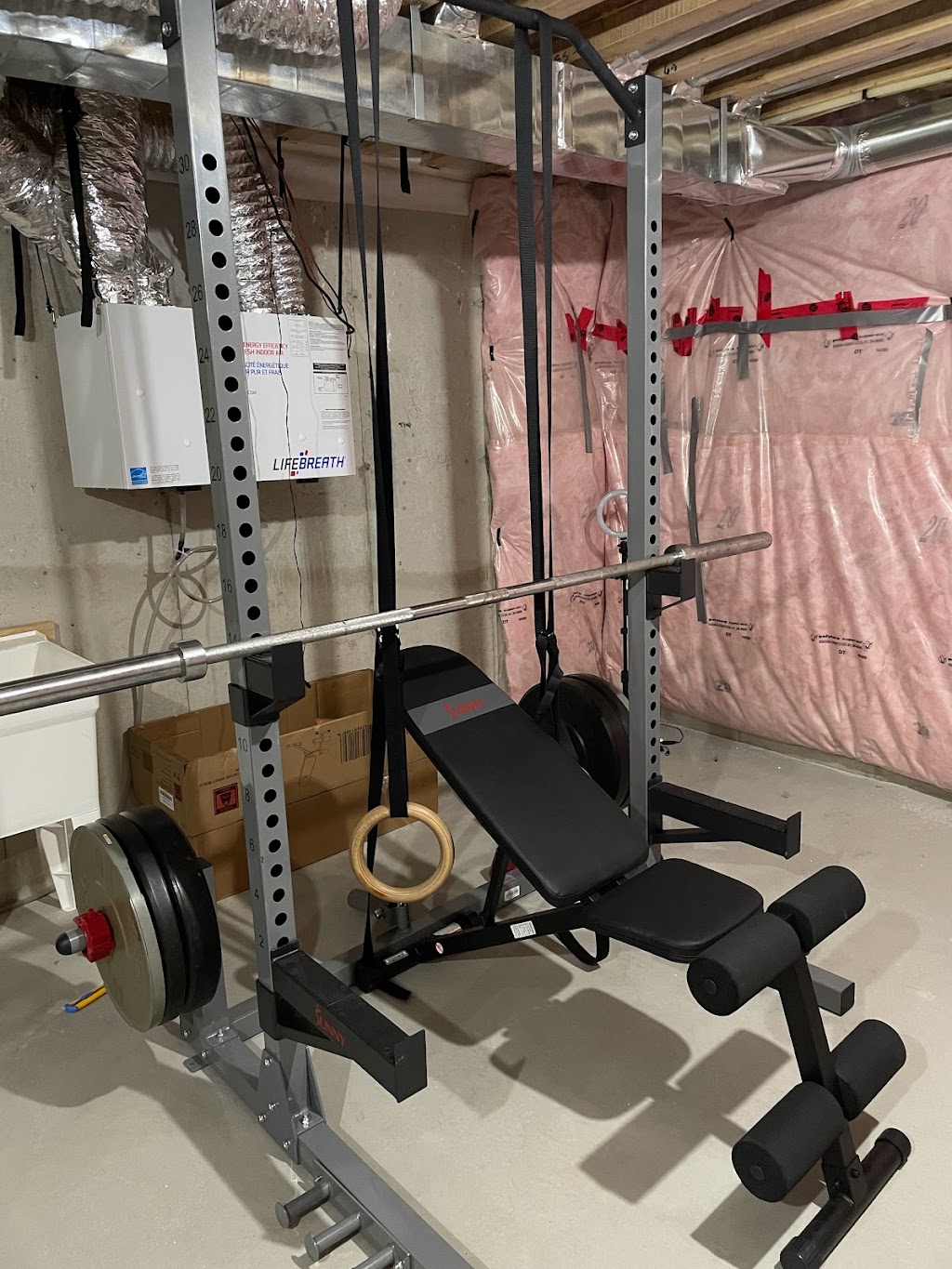 Body Experience | 40 Lollard Wy, Brampton, ON L6Y 0E4, Canada | Phone: (647) 830-2789