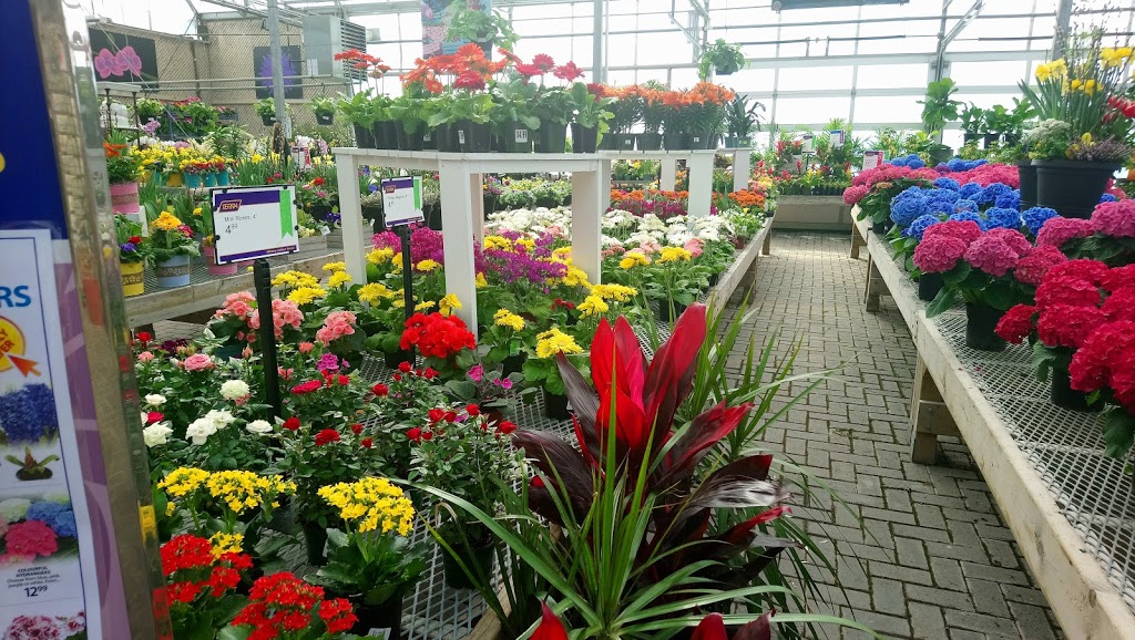 Terra Greenhouses Vaughan | store | 11800 Keele St, Maple, ON L6A 1S1, Canada | 9058326955 OR +1 905-832-6955
