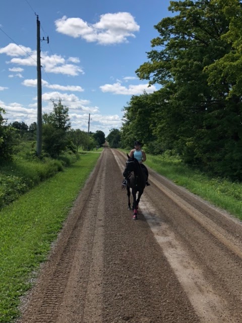 Maple Beech Farm | 796183 3rd Line E, Mulmur, ON L9V 0H2, Canada | Phone: (519) 925-9981