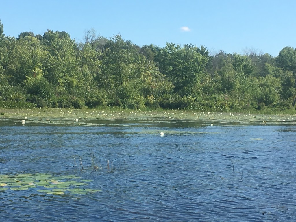 Missisippi Lake National Wildlife Area | Drummond/North Elmsley, ON K0G 1A0, Canada | Phone: (800) 668-6767