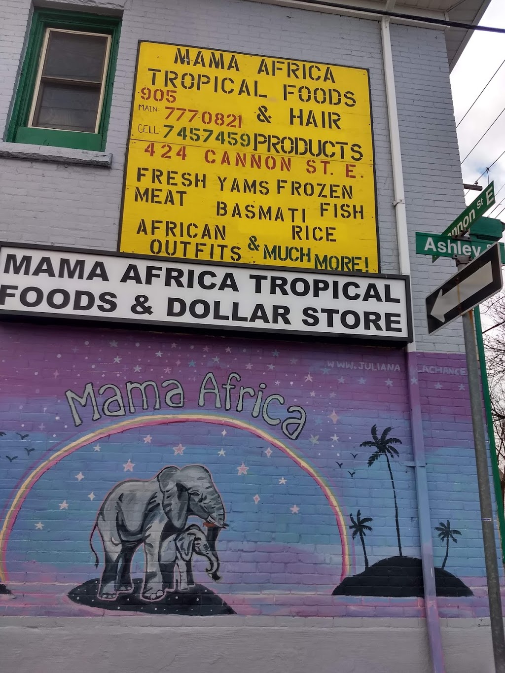 Mama Africa Tropical Foods And Dollar Store | 115 Ashley St Unit 1, Hamilton, ON L8L 5T2, Canada | Phone: (905) 777-0821