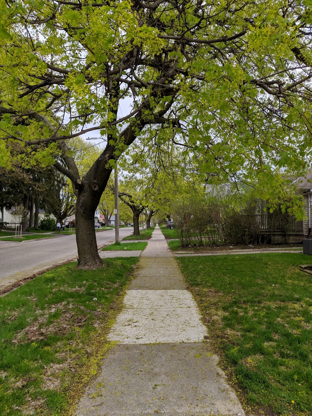 Meadowcrest Apartments | 22 Gammage St, London, ON N5Y 2A7, Canada | Phone: (519) 451-5085