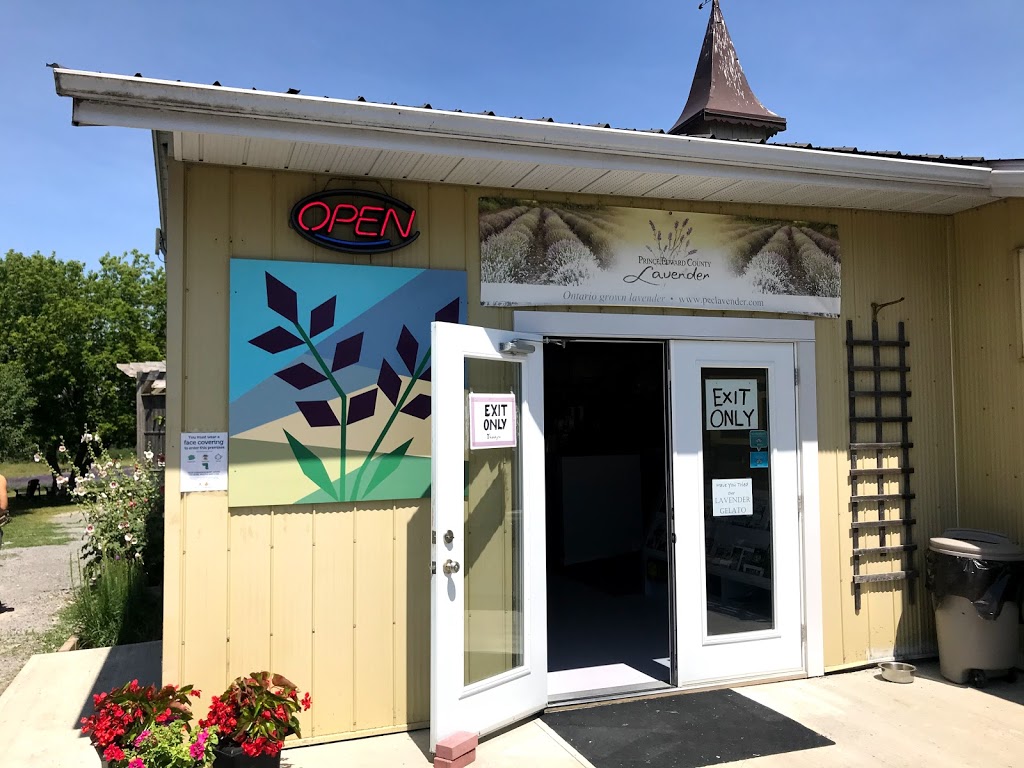 Prince Edward County Lavender | 732 Closson Rd, Hillier, ON K0K 2J0, Canada | Phone: (613) 399-1855