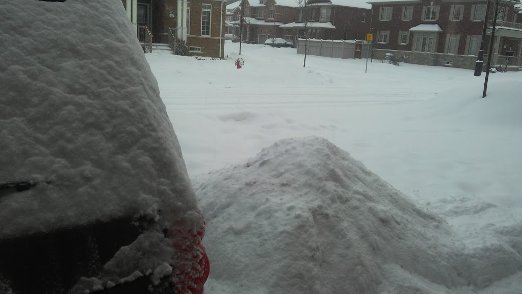 Bellcrest Park | 136-, 138 George Robinson Dr, Brampton, ON L6Y 0G8, Canada