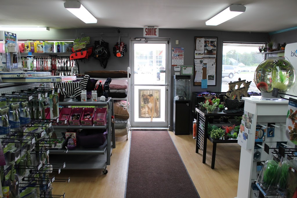 Boutique danimaux Chico Notre-Dame-des-Prairies (Joliette) | 364 Boulevard Antonio-Barrette, Notre-Dame-des-Prairies, QC J6E 1G3, Canada | Phone: (450) 755-4433