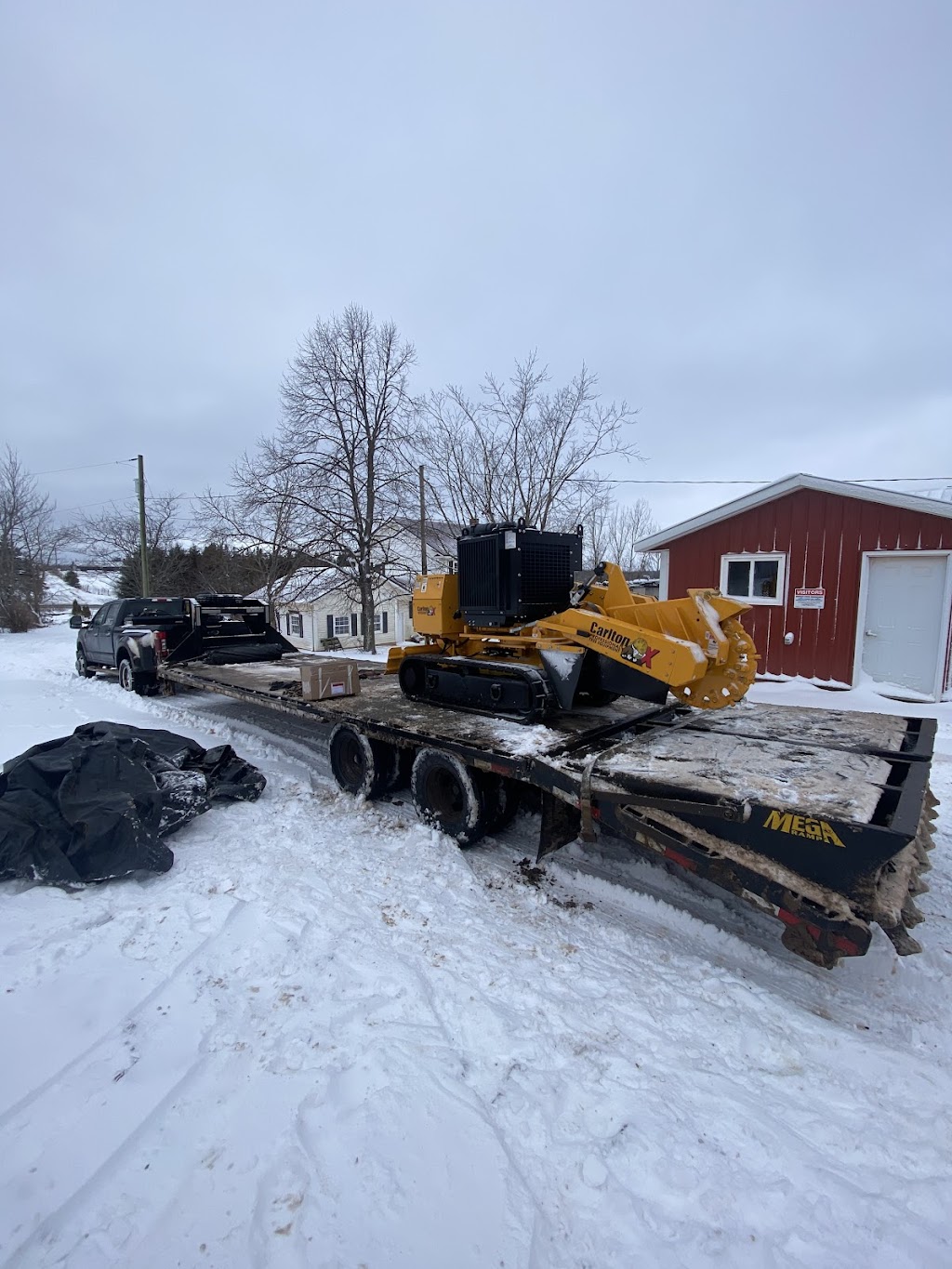 Timber Tree Care | 19506 rte 2, Hunter River, Charlottetown, PE C0A 1N0, Canada | Phone: (902) 213-5747