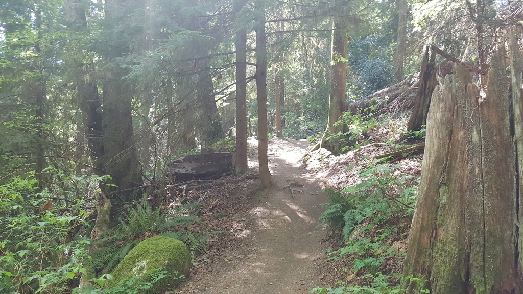 Burnaby Mountain Biking and Hiking Trails | University Dr E, Burnaby, BC V5A 4Y8, Canada | Phone: (604) 294-7944
