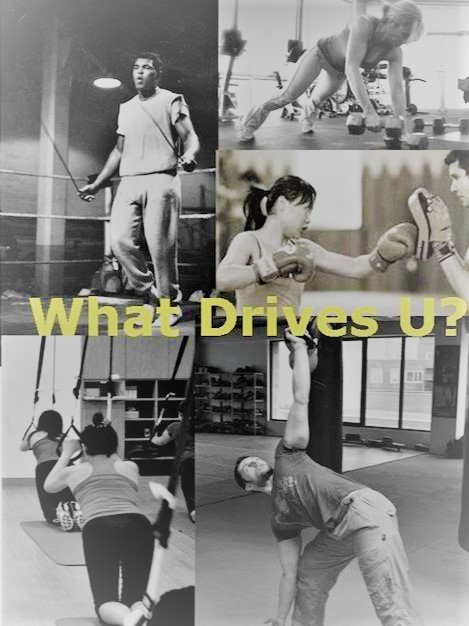 GetMeFit Personal Fitness | 2083 Lake Shore Blvd W #1208, Etobicoke, ON M8V 4G2, Canada | Phone: (416) 554-8477