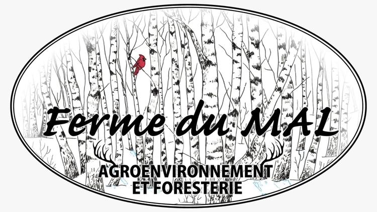La Ferme du MAL | 429 QC-261, Saint-Sylvère, QC G0Z 1H0, Canada | Phone: (819) 692-9834
