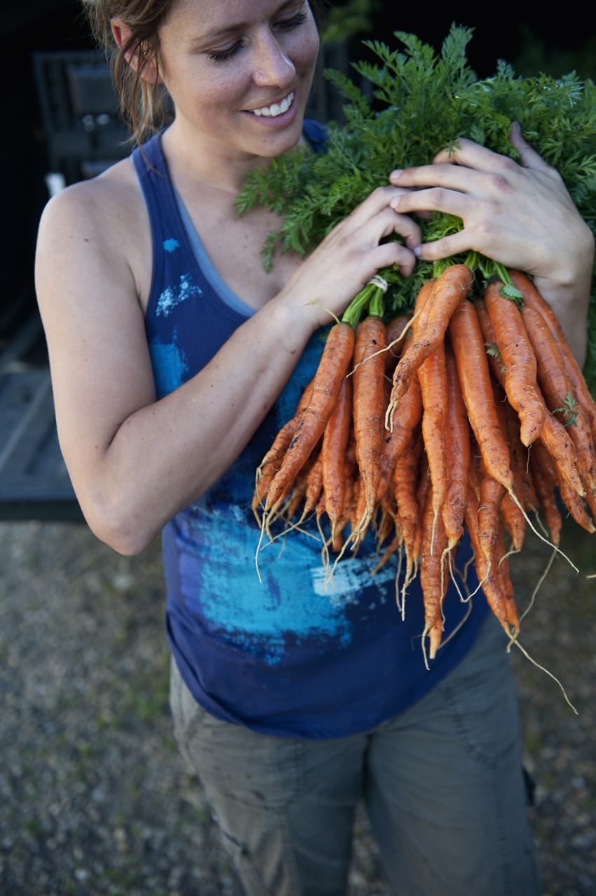 Grey Arrow Farm | 48037 Range Road 205, Camrose, AB T4V 2N1, Canada | Phone: (780) 672-2142