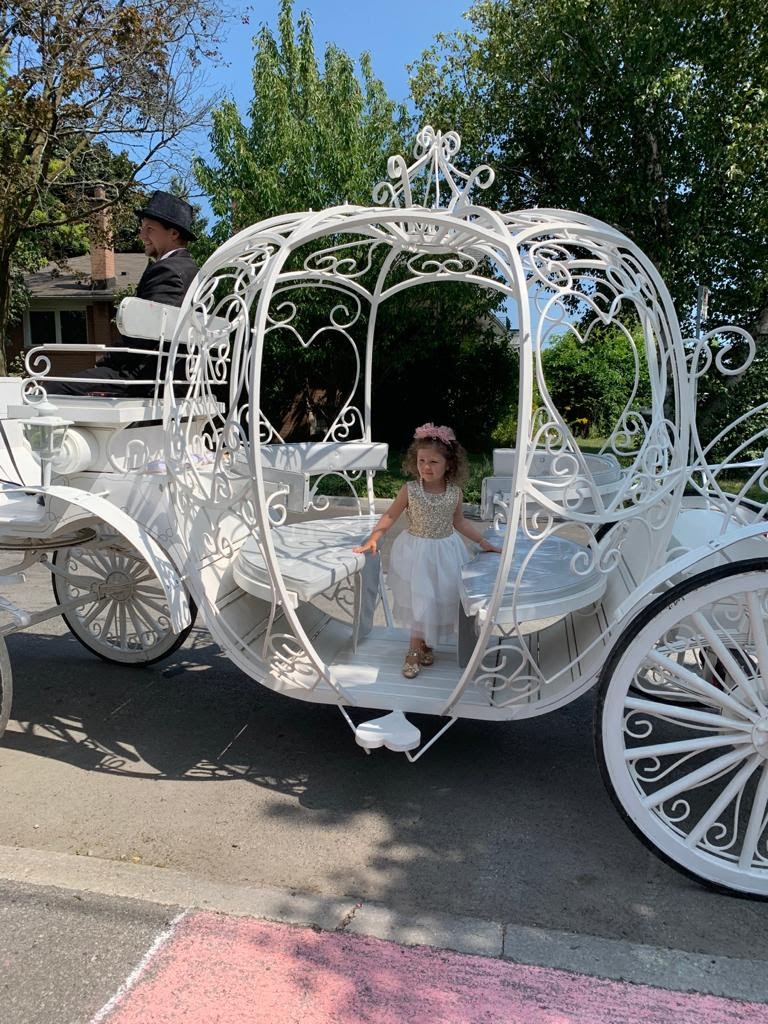 Fairytale Horse and Carriage | 473262 Dufferin County Road 11, Laurel, ON L0N 1L0, Canada | Phone: (416) 737-2860