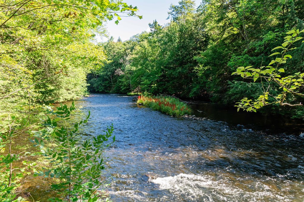 Crests Of Kennisis Trailhead | Algonquin Highlands, ON K0M 1J2, Canada | Phone: (705) 766-9033