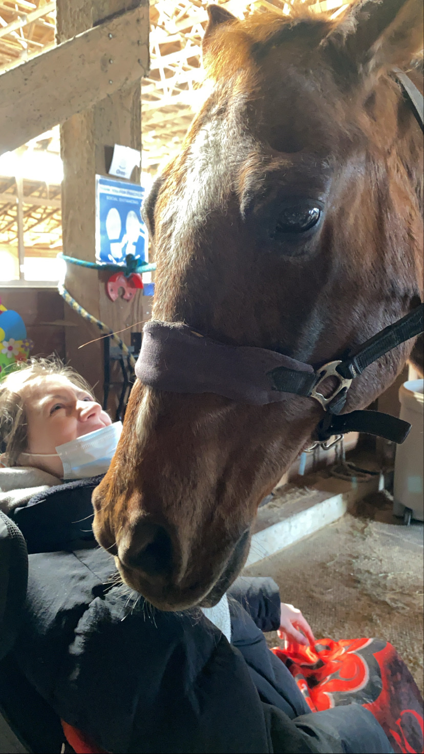 Pony Pals Therapeutic Riding Assn | 3885 96 St, Delta, BC V4K 3N3, Canada | Phone: (604) 590-0097