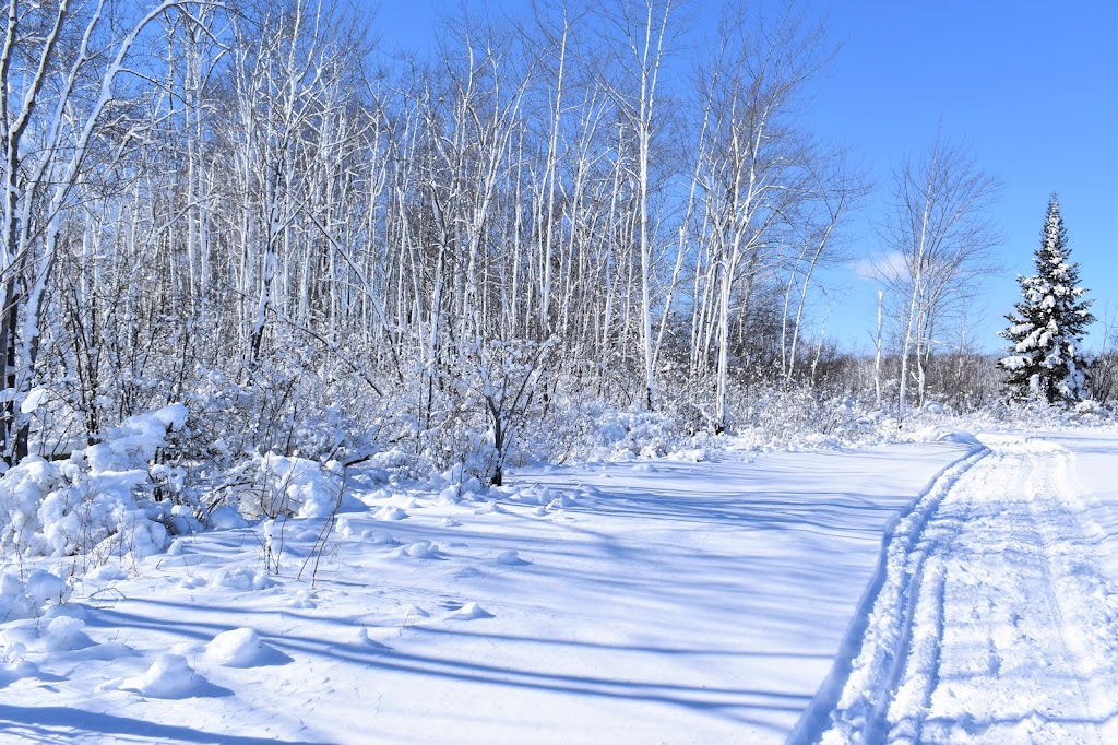 Petawawa Terrace Provincial Park | 17 Sunset Crescent, Petawawa, ON K8H 2L8, Canada | Phone: (613) 757-2103
