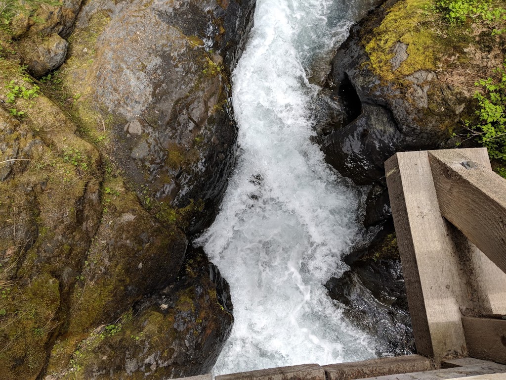 Heliotrope Ridge Trailhead | Deming, WA 98244, USA | Phone: (360) 856-5700