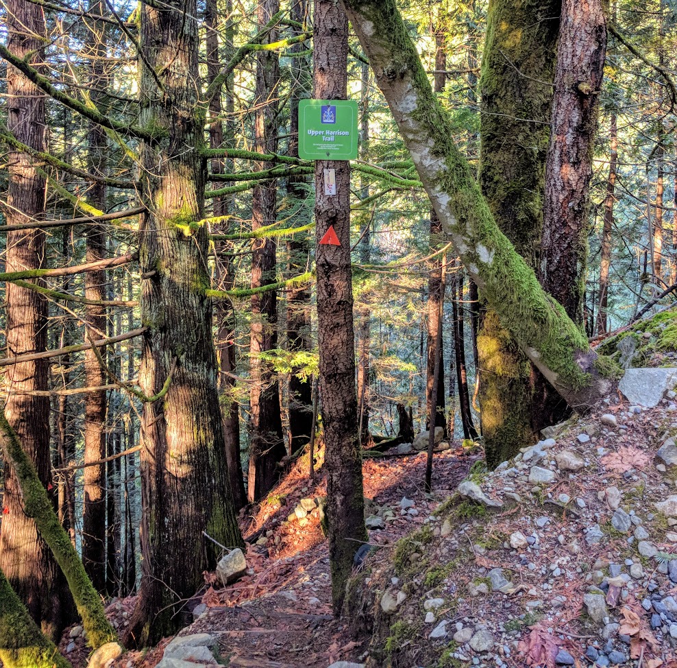 Upper Harrison Trail | Unnamed Road, Lions Bay, BC V0N, Canada
