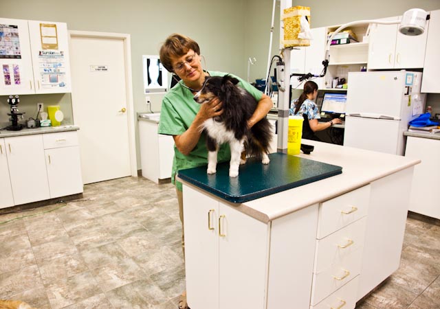 Chicopee Hills Animal Hospital | 1601 River Rd E #28, Kitchener, ON N2A 3Y4, Canada | Phone: (519) 748-6638