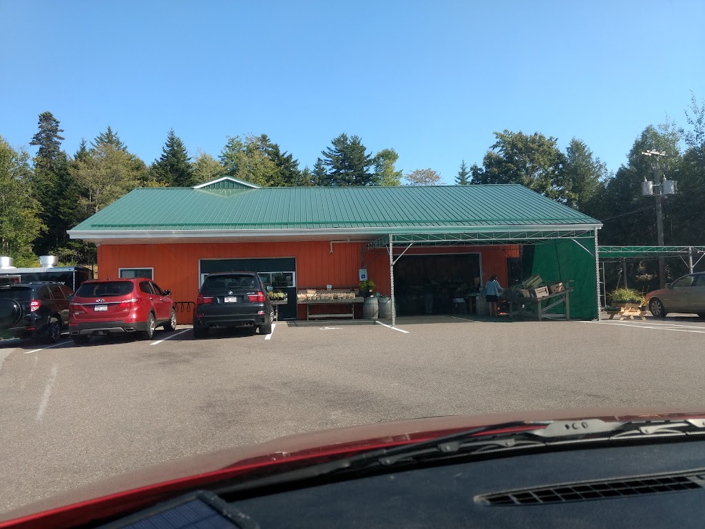 Cochrans Country Market | 106 Hampton Rd, Rothesay, NB E2E 2P8, Canada | Phone: (506) 849-4840