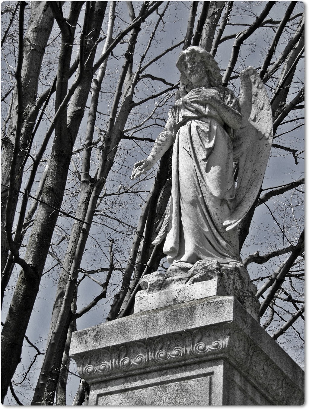 Mount Hope Cemetery | cemetery | 83 Roger St, Waterloo, ON N2J 4A8, Canada | 5197412880 OR +1 519-741-2880