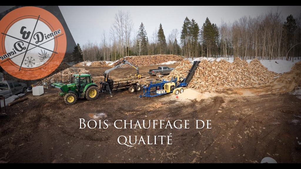 Bois de chauffage Dionne & Dionne Inc. | 9 Chem. des Cèdres, Lac-Beauport, QC G3B 0C7, Canada | Phone: (418) 803-0187