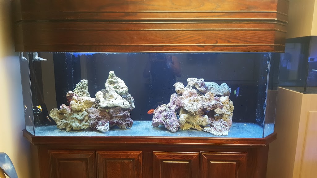 Sealife Central | 3392 Wonderland Rd S Building 9 Unit 11, London, ON N6L 1A6, Canada | Phone: (519) 652-6100