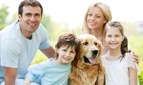 Extermination Peste Detective | 153 Rue la Fayette, Laval, QC H7G 1L9, Canada | Phone: (514) 222-9594
