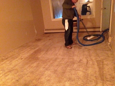 Alpine Carpet Care | 7010 Lanigan Dr, Regina, SK S4X 3X9, Canada | Phone: (306) 533-7199