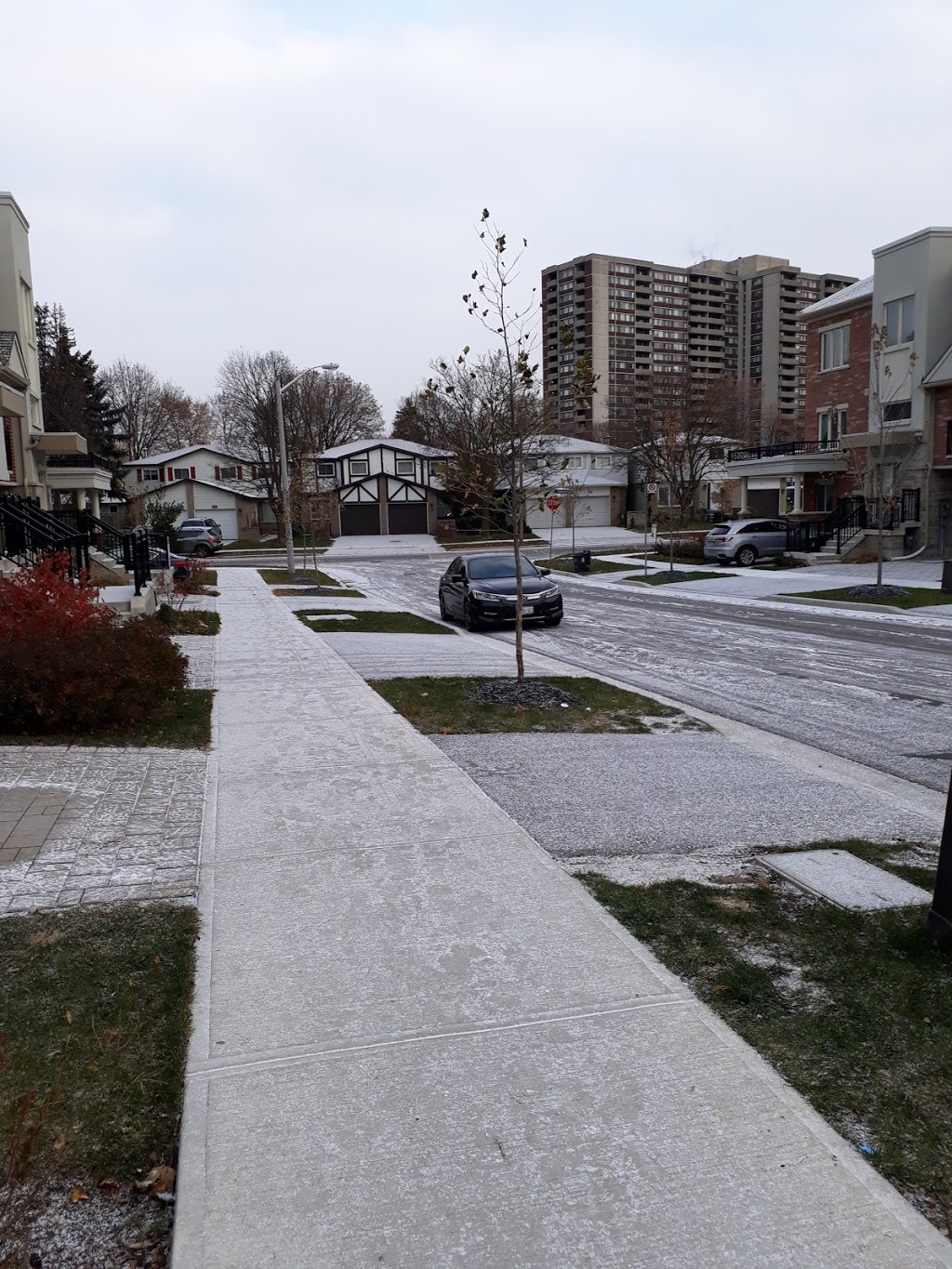Antibes Park | 109 Antibes Dr, Toronto, ON M2R 2Y9, Canada | Phone: (416) 392-2489