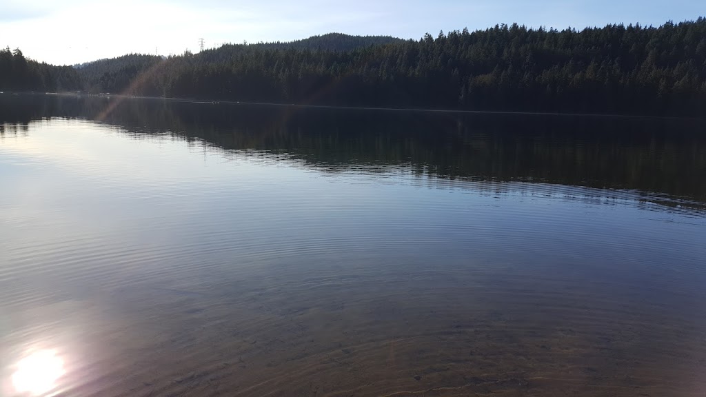 Qualitech Construction Group | 3626 Main Ave, Belcarra, BC V4B 4P7, Canada | Phone: (778) 886-9987