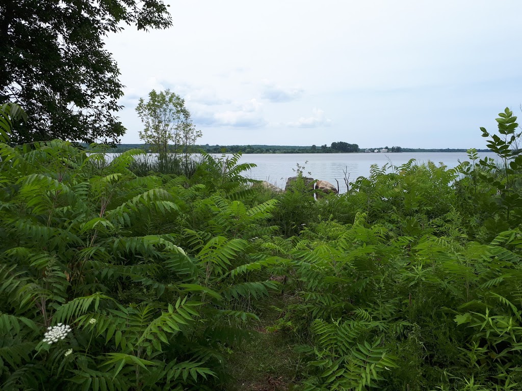 Eplett Park | 320 Waldie Ave, Victoria Harbour, ON L0K 2A0, Canada | Phone: (705) 534-7248