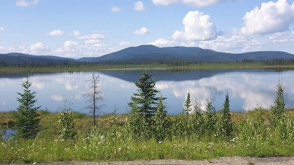 Bekins Moving and Storage (Canada) Ltd | 1010 Shearme Rd, Parksville, BC V0R 1M0, Canada | Phone: (250) 248-8805