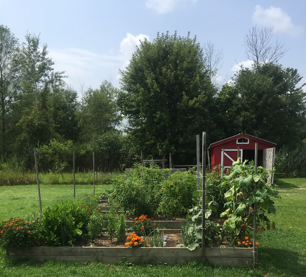 Biggar Blooms | 9820 Biggar Rd, Niagara Falls, ON L0S 1K0, Canada | Phone: (905) 359-6979