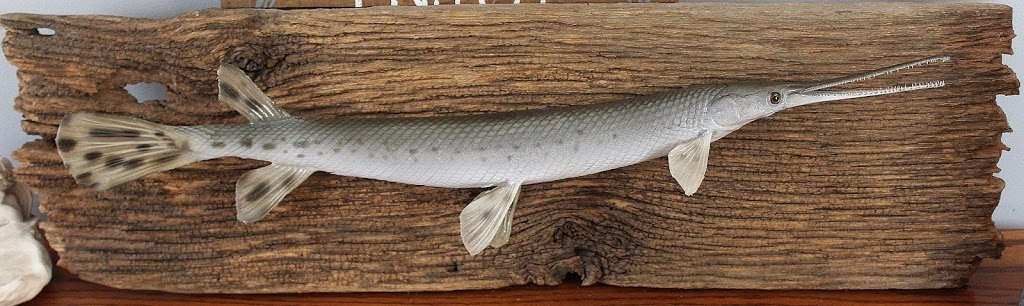 True To Life Taxidermy | 12105 12th Concession Rd, McGregor, ON N0R 1J0, Canada | Phone: (519) 726-9652