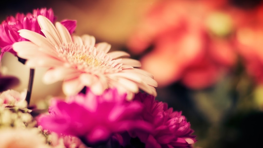 SOUTHEAST FLORIST - Calgary Flowers - Delivery | 248 Mt Victoria Pl SE, Calgary, AB T2Z 1P4, Canada | Phone: (403) 270-4026